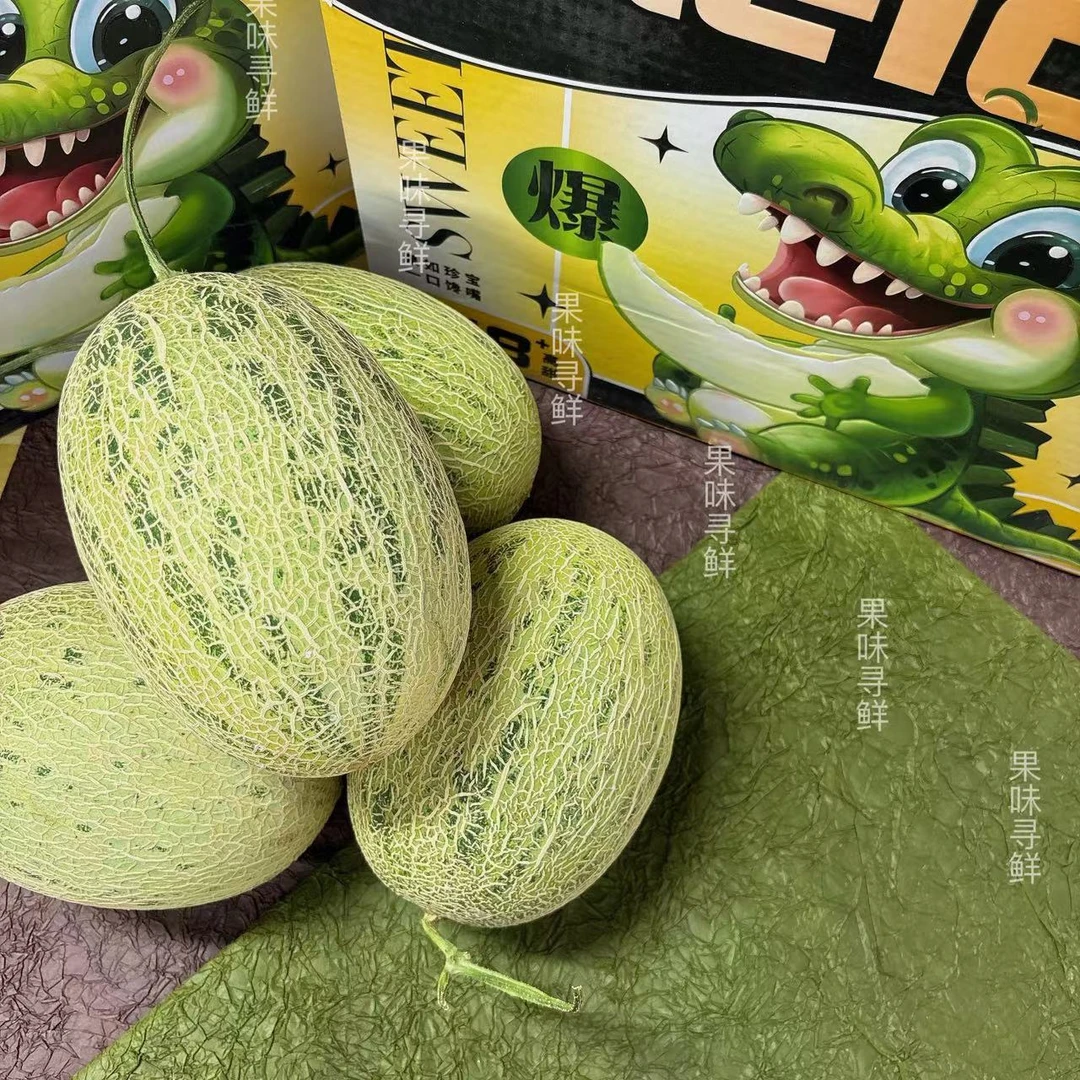 寻味优果 鳄纹蜜瓜 4粒装  净重11~12斤  毛重13.5斤左右