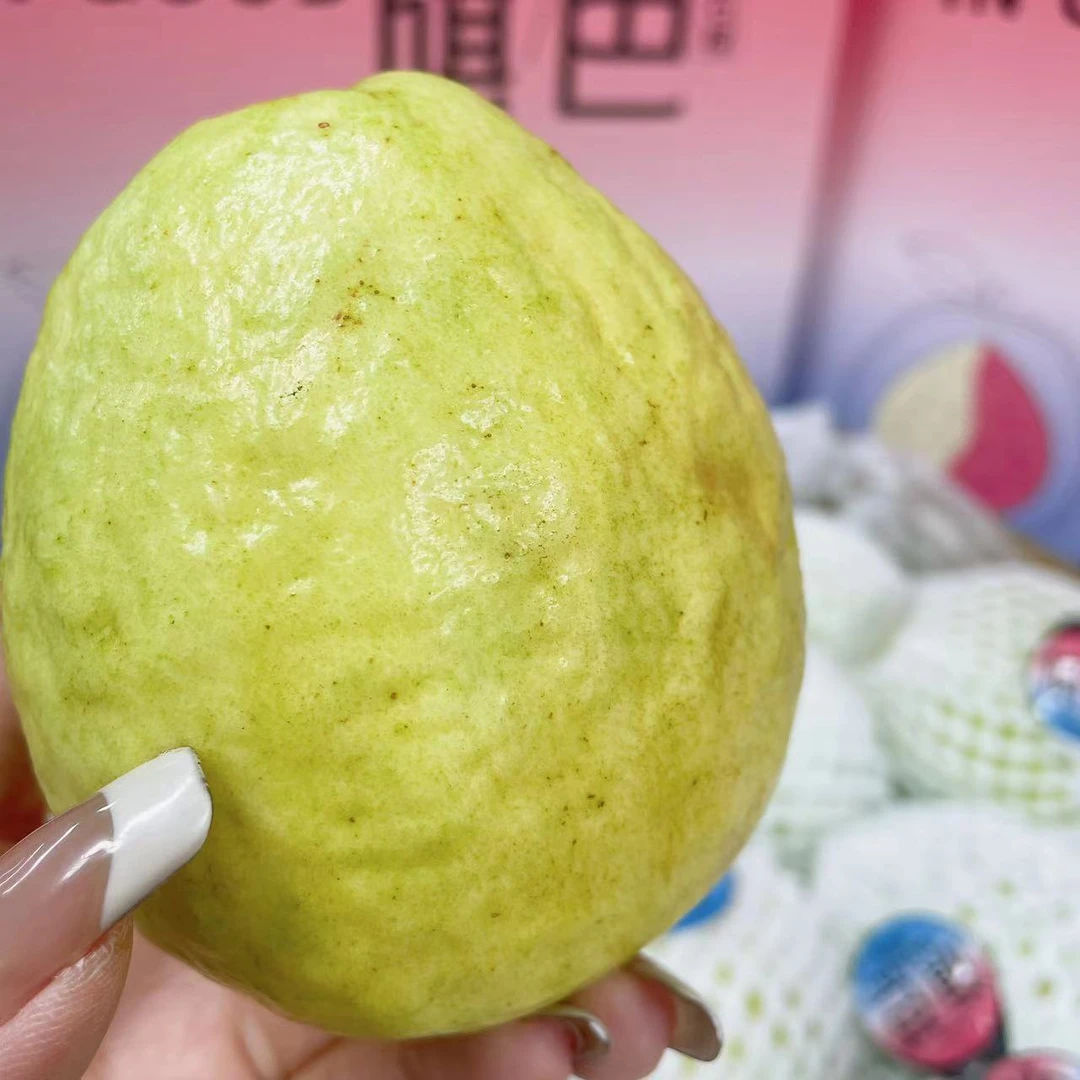 【旗芭】 芭乐 奶油芭乐 10颗左右 净重4.6~4.9斤 毛重6斤