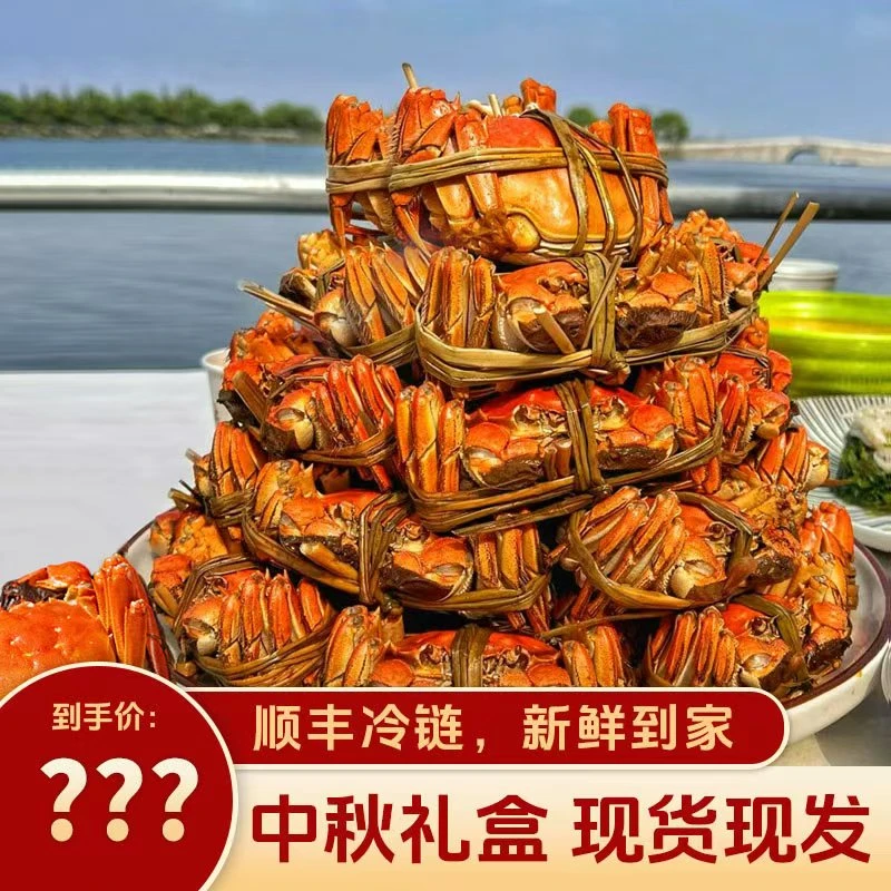【活蟹现发】中秋螃蟹2.5两母蟹8只装蟹农直销礼盒现发