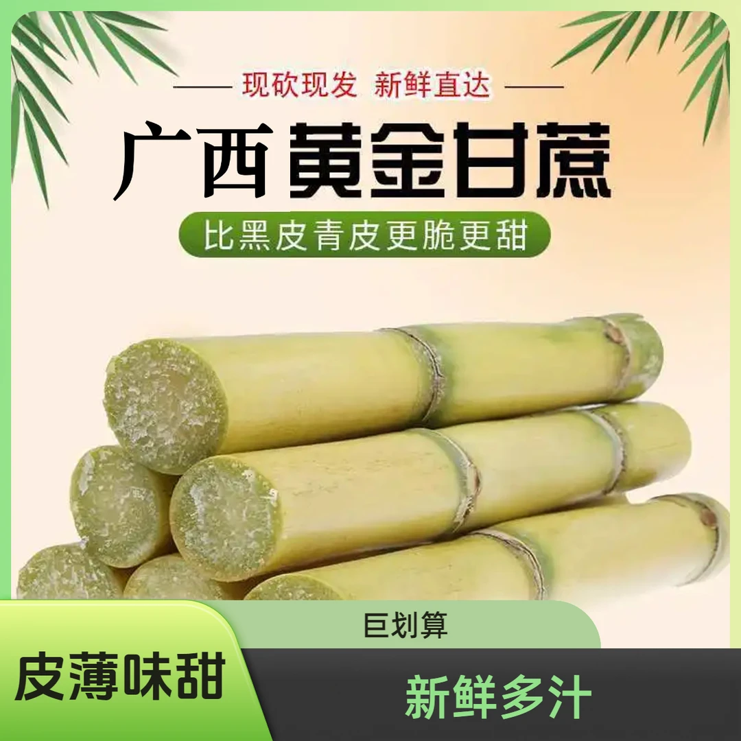 【广西】黄金甘蔗清甜脆甜汁多口感好产地直发