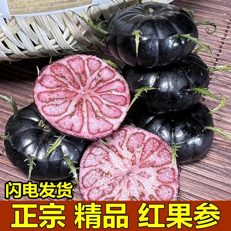 云南高原精选红果参水果当季新鲜整箱算盘果应季稀少红蜘蛛果孕妇