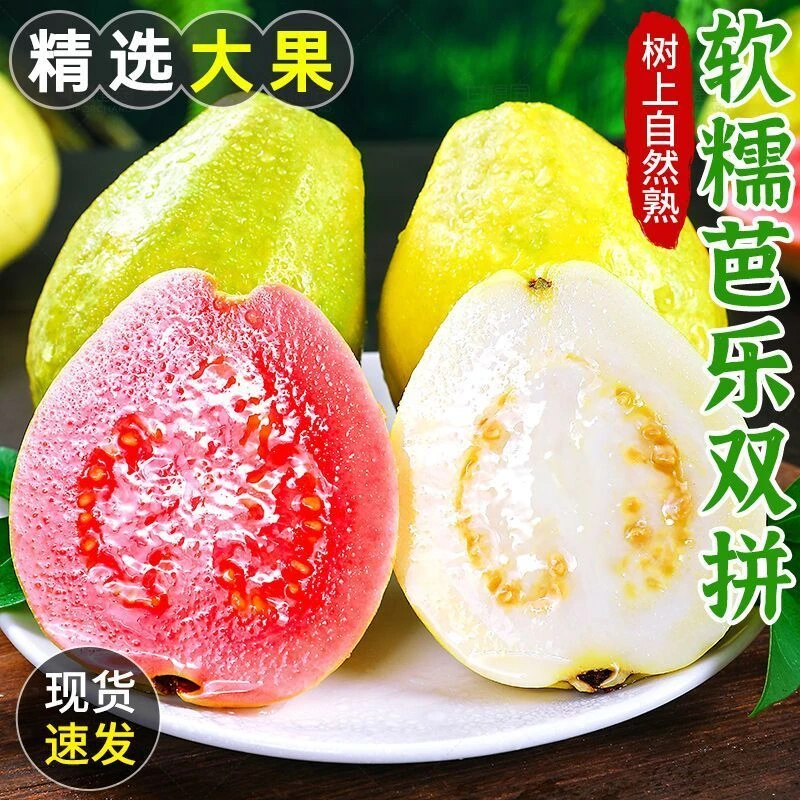 【软糯双拼】广西红心番石榴新鲜应季水果白心大果