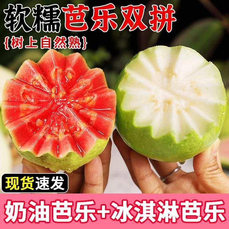 【混合双拼】广西白心芭乐新鲜应季水果当季红心番石榴清甜大果