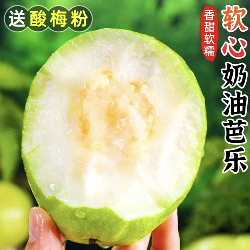【粉丝福利】广西白心番石榴新鲜应季水果当季芭乐大果