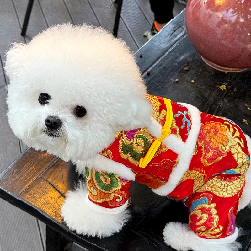 祥云金龙小狗狗衣服新年冬季泰迪比熊博美冬天宠物秋冬装四脚棉衣