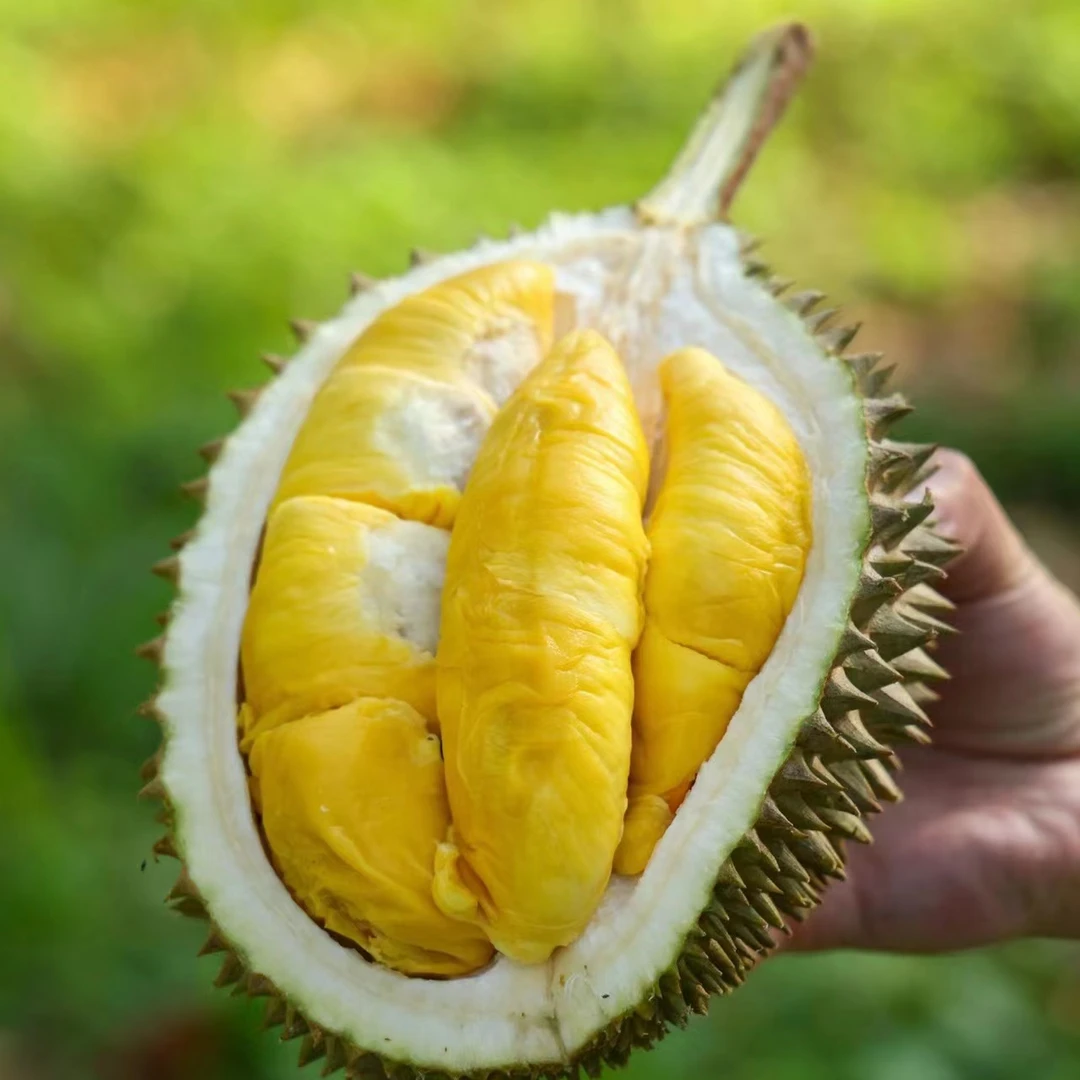 【老沙严选】泰国当季“象神”猫山王榴莲鲜果单颗发货 包4房