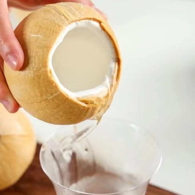 【老沙严选】南鳄椰皇新鲜到货泰国香水椰皇 5/6颗