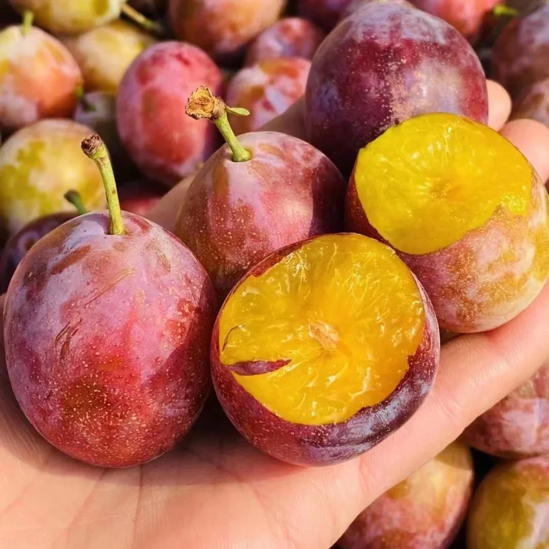 【老沙严选】蓝孔雀智利新鲜高甜3J西梅2/5斤装