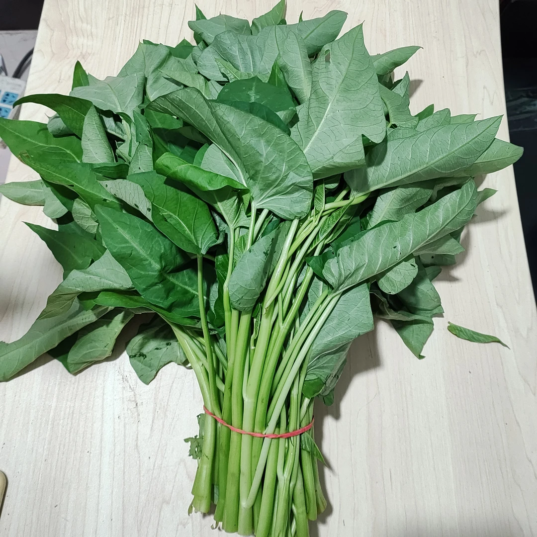 空心菜2斤限京津冀生态农场