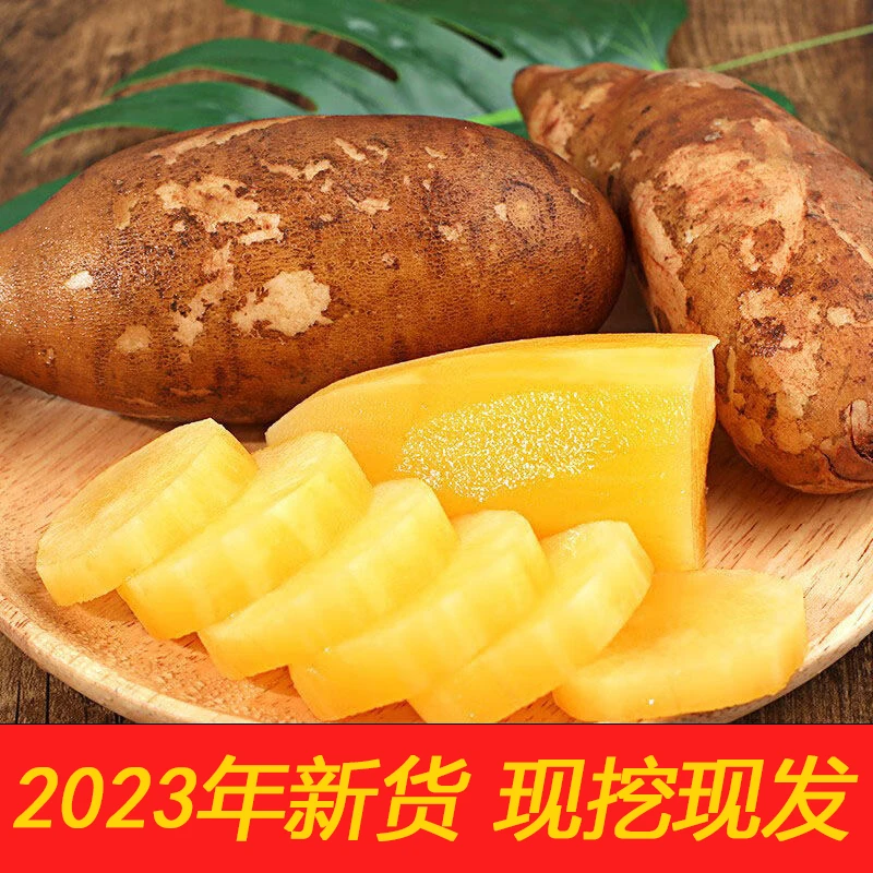 【25现挖头茬】云南天山雪莲果现挖现发产地批发新鲜脆甜应季头茬果