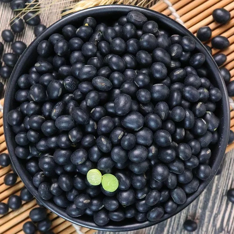 东北黑豆农家自种精选绿芯黑豆干自然生晒新货无硫饱满软糯煲汤