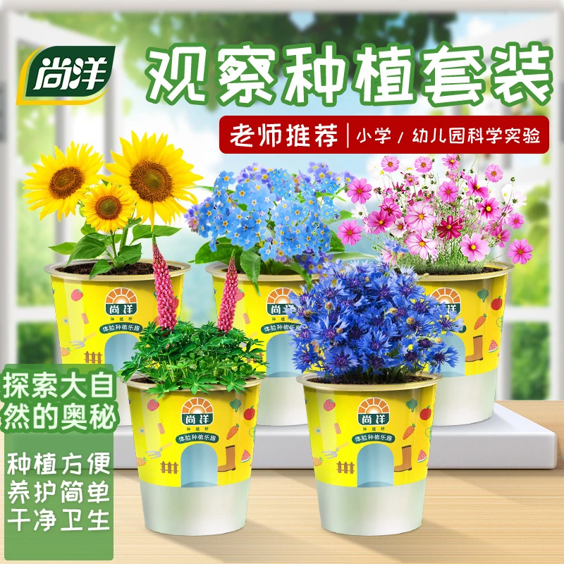 科学小伙伴植物盆栽diy儿童迷你种植学生植物观察培养3-8益智玩具