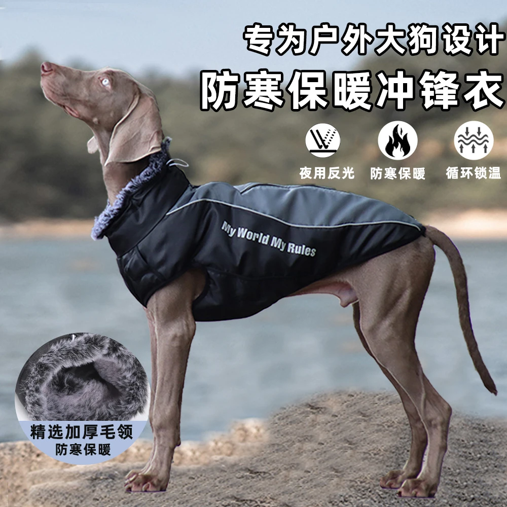 新款秋冬宠物服装 保暖反光大狗衣服加厚狗狗棉衣宠物衣服批发