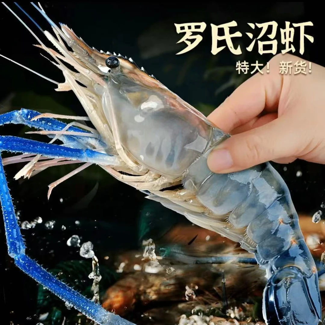 罗氏软皮通货沼虾新鲜大头虾速冻  一斤20左右  到手1斤/盒