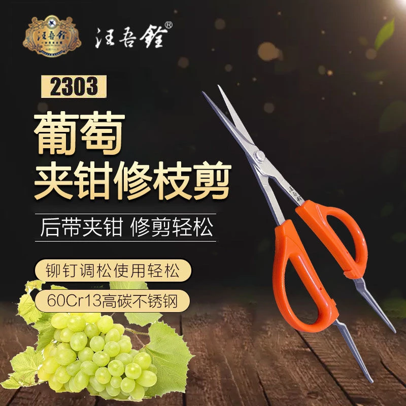 阳光玫瑰葡萄蔬果稀果专用剪刀修果带镊夹翘头平尖头剪水果