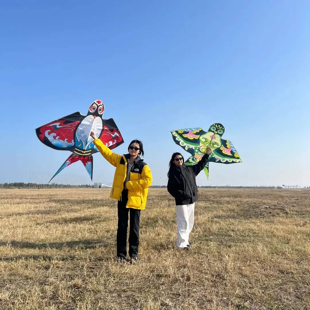 2025新款靓丽沙燕风筝风筝风筝浚延户外风筝浚延户外