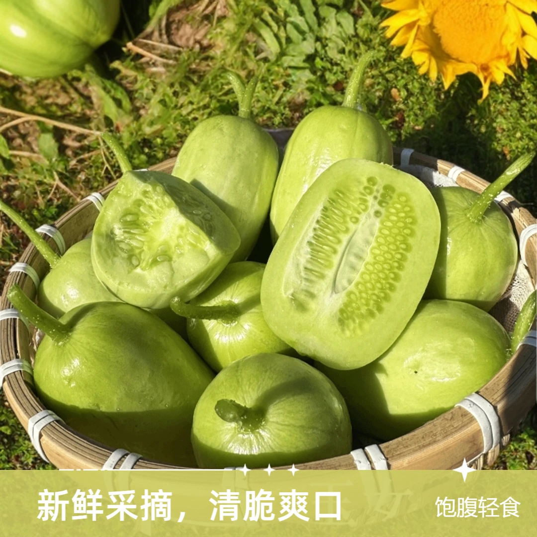 【新鲜采摘 脆嫩多汁】山东金童玉女拇指小黄瓜饱腹轻食清脆爽口