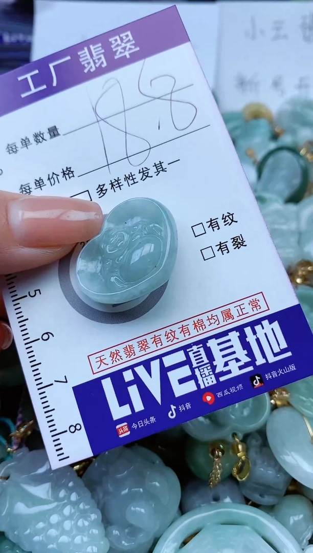 【闪购商品】翡翠颈饰未镶嵌翡翠