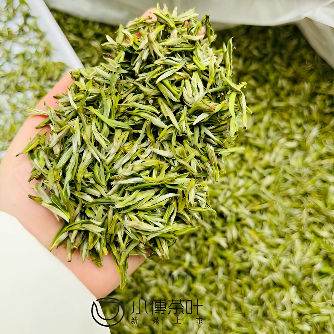 2025 新茶 黄芽毛峰  头采芽 清香型 xx