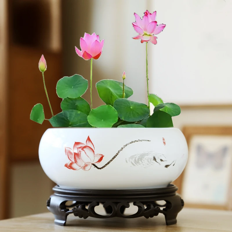 水培花盆陶瓷铜钱草睡莲水莲花盆处理清仓无孔水仙网红专用盆圆形