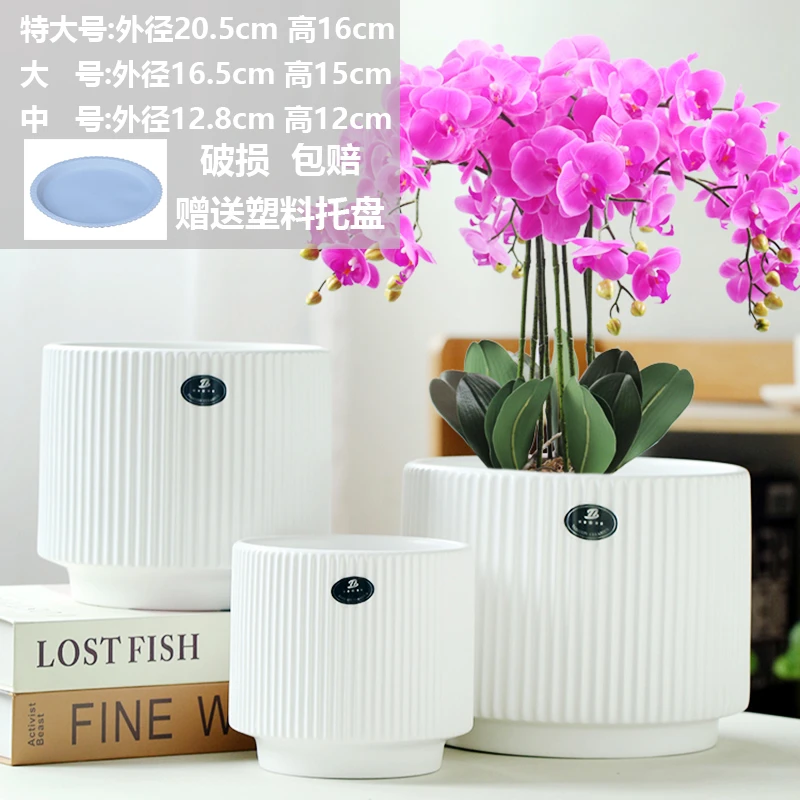 直播间专享 漂亮直筒雅典花盆捡漏送塑料托盘