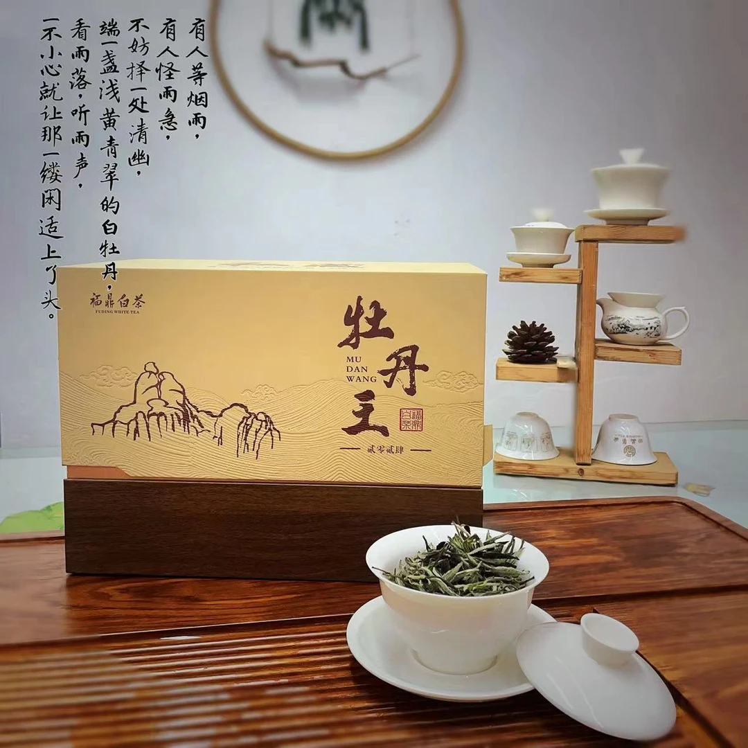 【太姥山】2024特级牡丹王