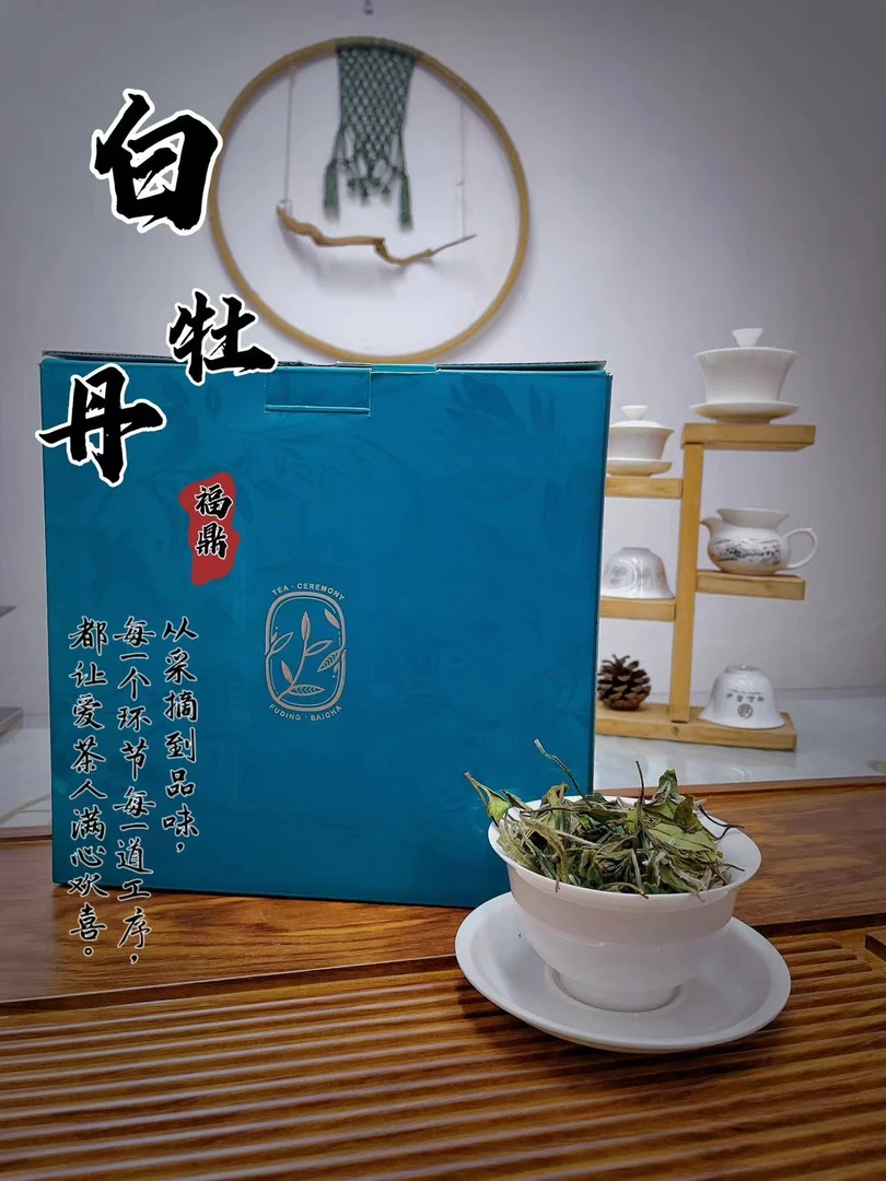 【太姥山】2023高山二级牡丹