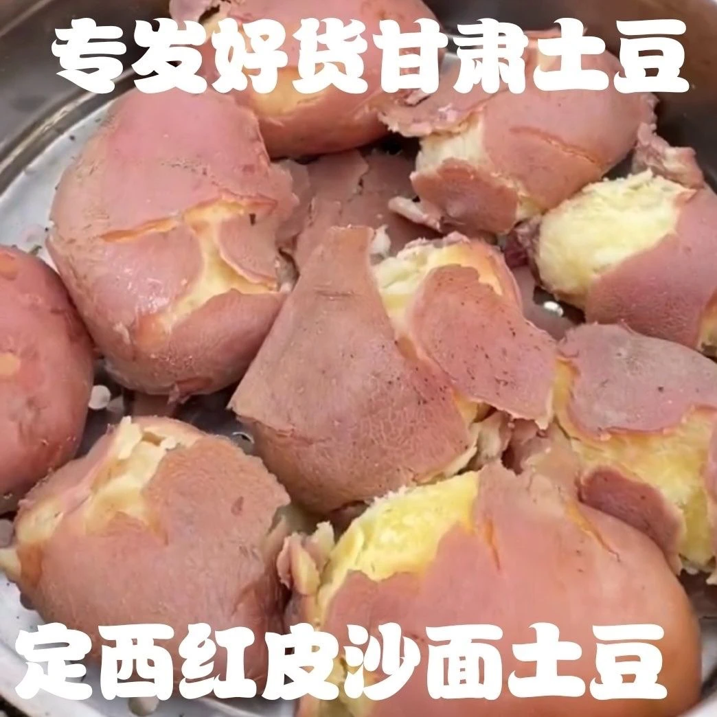 2024现甘肃定西红皮黄心土豆净重5斤包邮粉面洋芋马铃薯