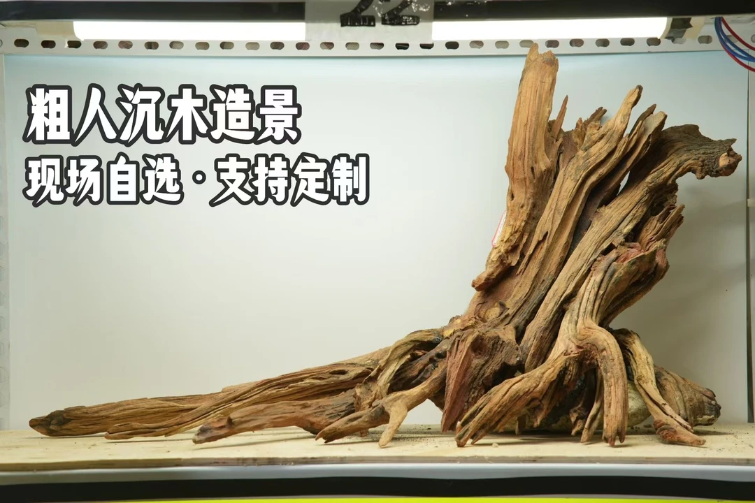 粗人造景：鱼缸沉木造景定制链接