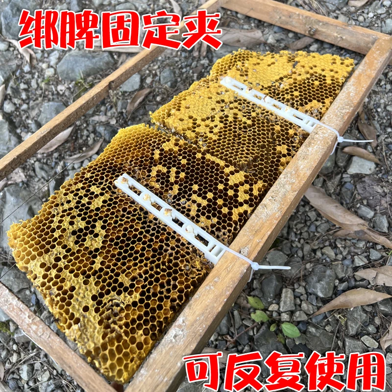 蜜蜂巢脾夹过箱导础夹子野蜂过箱土养圆桶塑料夹绑脾条固定条加厚