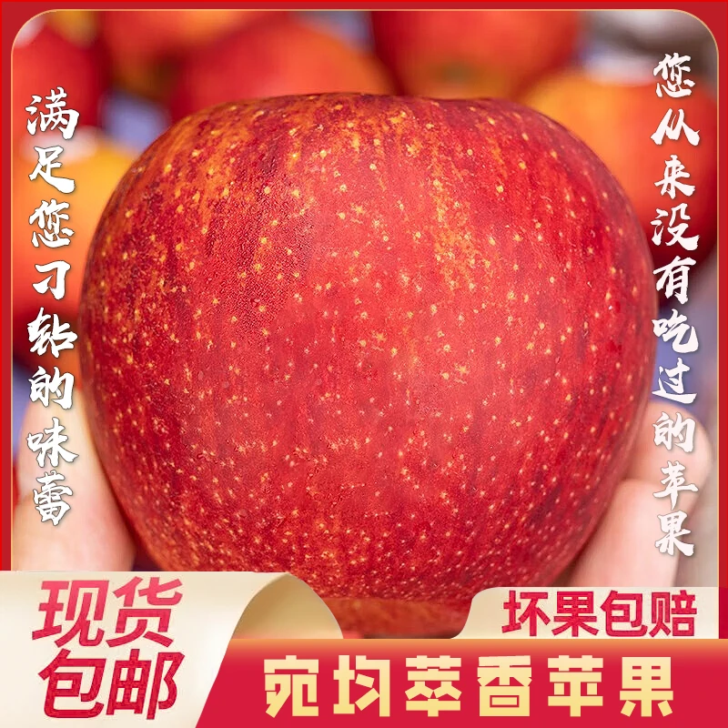 婉君萃香绿色食品认证雀斑王林苹果净重4-4.5斤冰糖心丑苹果烟台