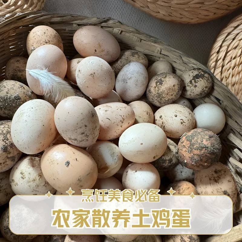 新化县众鑫生态养殖场（50枚）土鸡蛋 大山散养