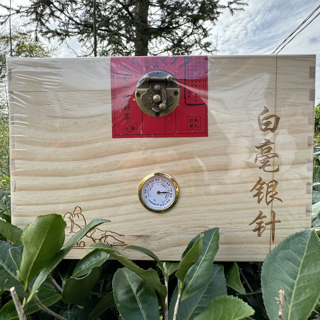 东苑贡茶2024高山区头春 政和大白品种 白毫银针  政和白茶