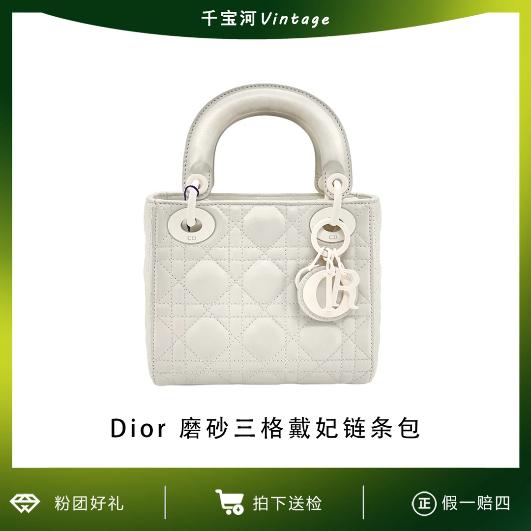 95新 DIOR/迪奥 艾派尔/戴妃三格磨砂白单肩包1724