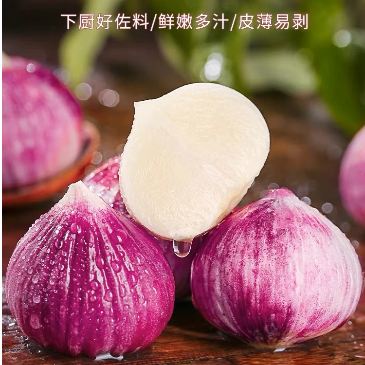 【云南独头蒜】云南高山农家种植紫皮独头蒜大果新鲜饱满蒜香十足