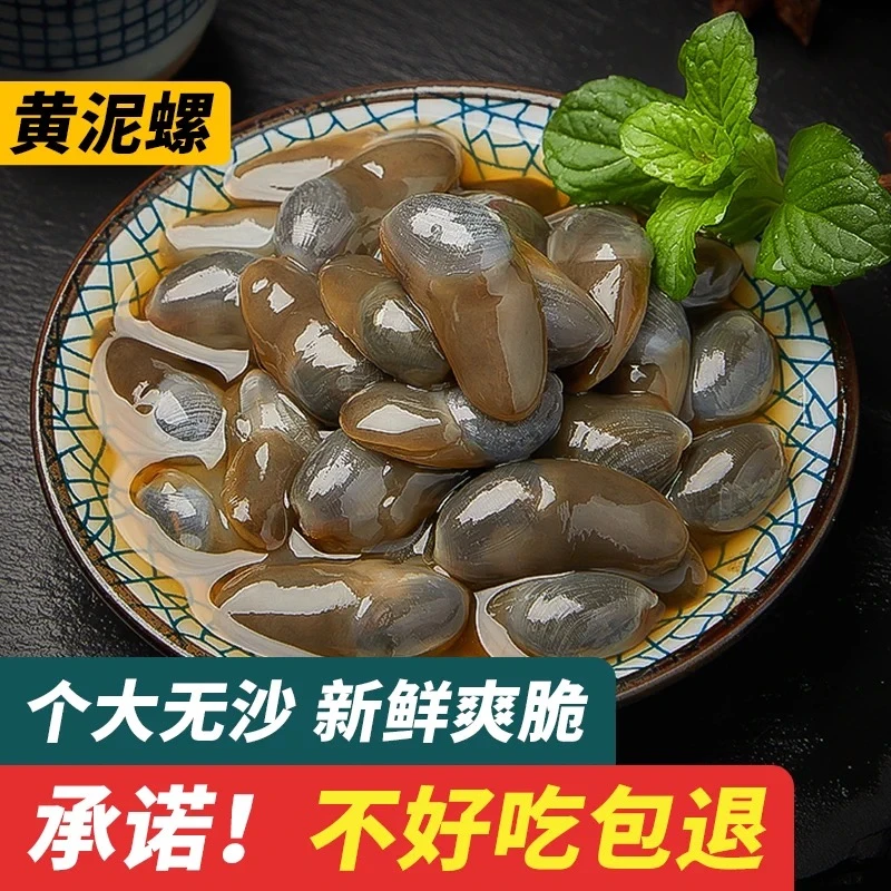舟山宁波特产大泥螺270g即食罐装无沙鲜活腌制特大黄泥螺罐头
