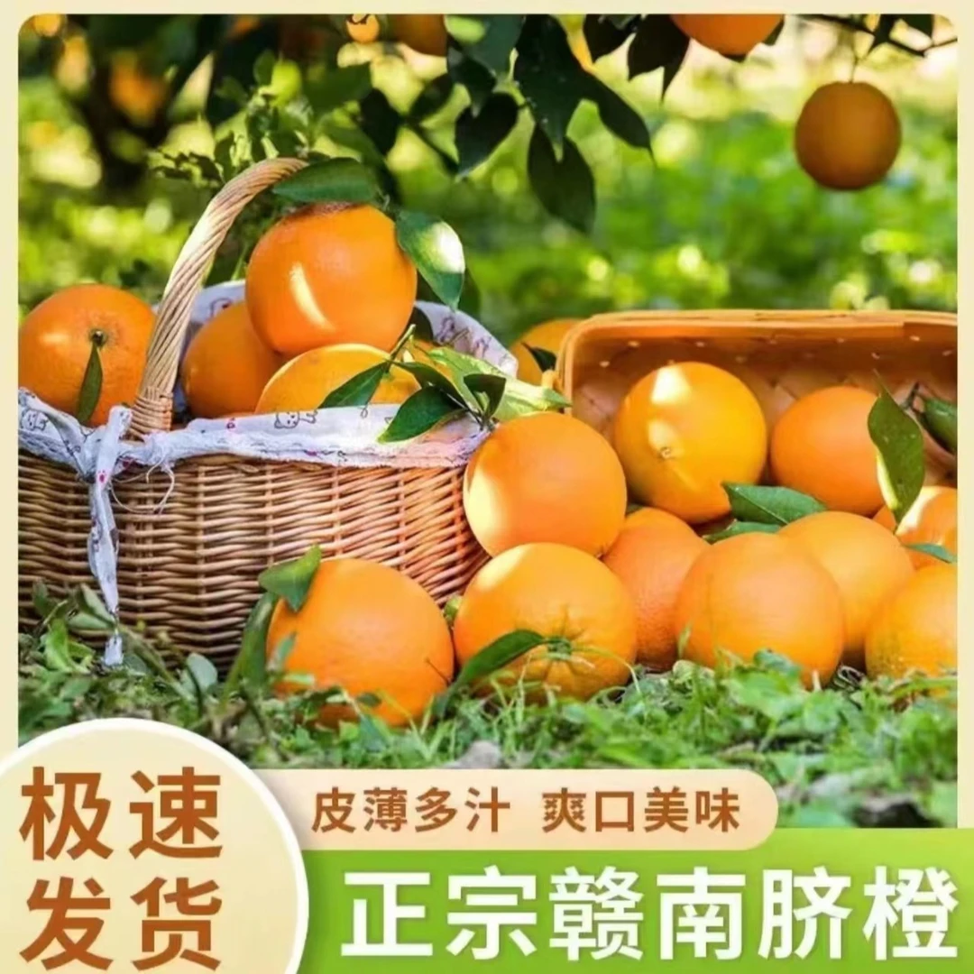 【五斤尝鲜装】香甜多汁正宗赣南脐橙 产地直发 现采现发香甜新鲜橙