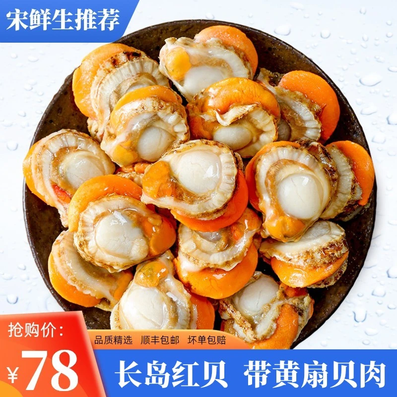 新鲜捕捞速冻带黄扇贝肉无沙无冰鲜嫩饱满食用海鲜(250g/包)