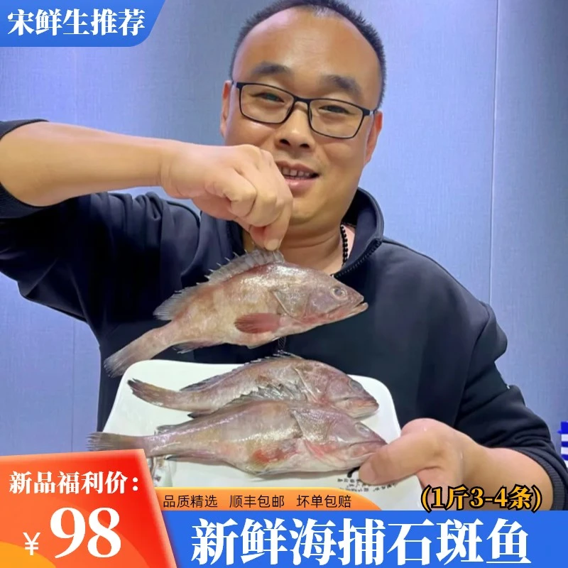 【新品福利】日照本地营养海捕石斑鱼 新鲜急冻 肉质细腻3斤送1斤