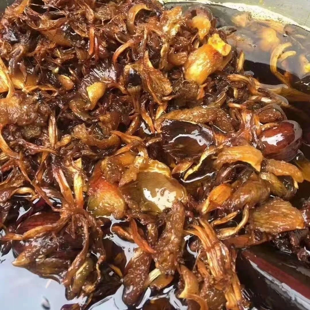 云南楚雄  代加工正宗野生菌油  无任何添加剂