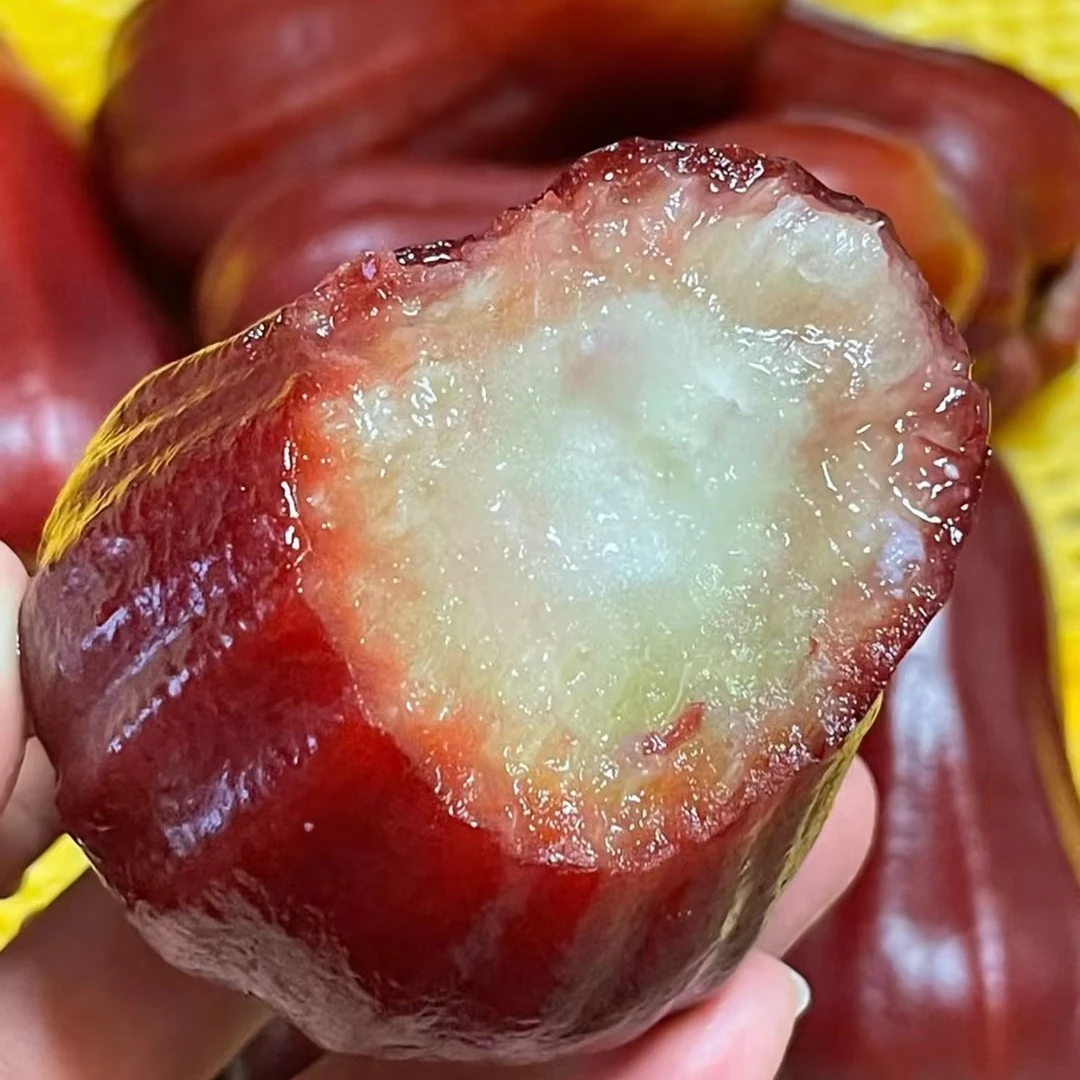 【花果山】三亚南麓莲雾 1颗