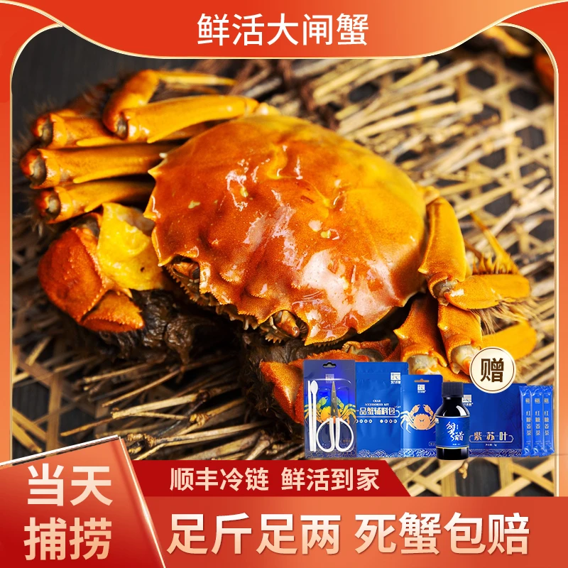 苏州精品毛氏大闸蟹 公蟹7两3只+母蟹5两3只 共6只 精选养殖 【黄】