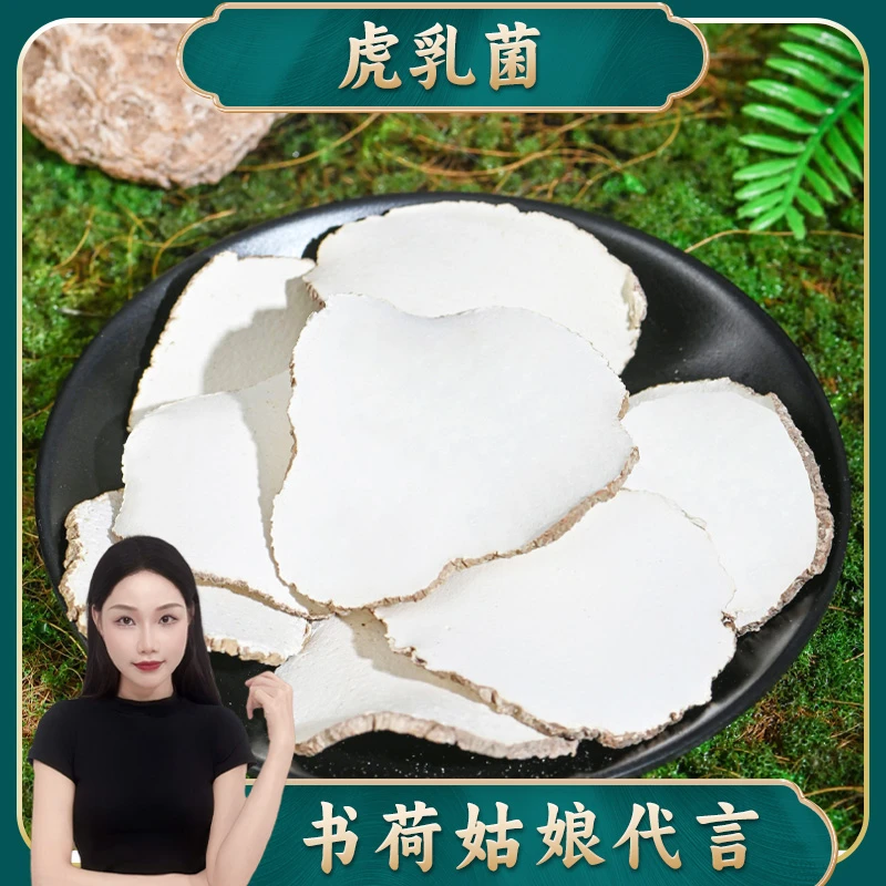 精选大片虎乳菌 马来虎乳菌搭配海底椰雪梨干玉竹百合清润滋补