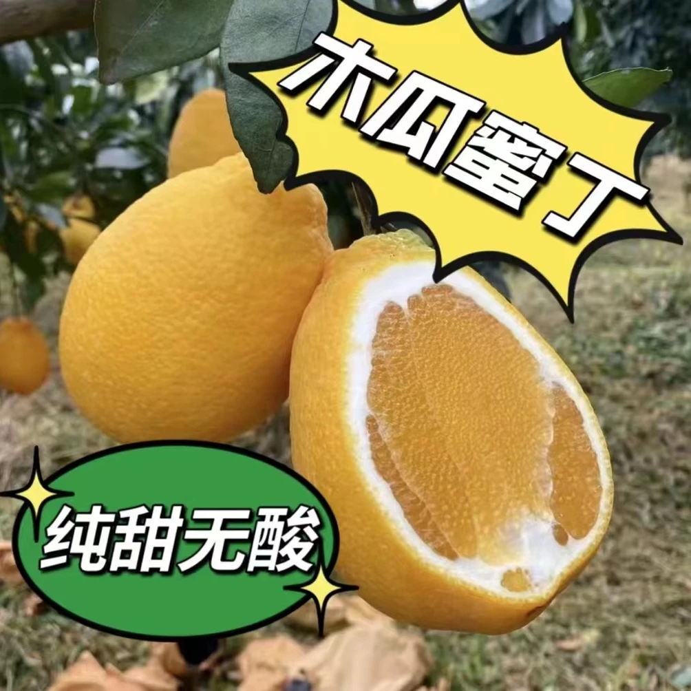 正宗平和脐橙多汁清甜橙子爆汁香甜爽口无籽孕妈应季水果盒装