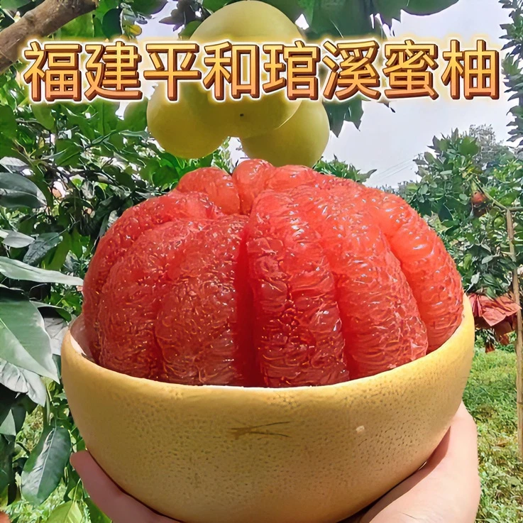 正宗福建平和产地琯溪蜜柚红心蜜柚酸甜多汁天然美味