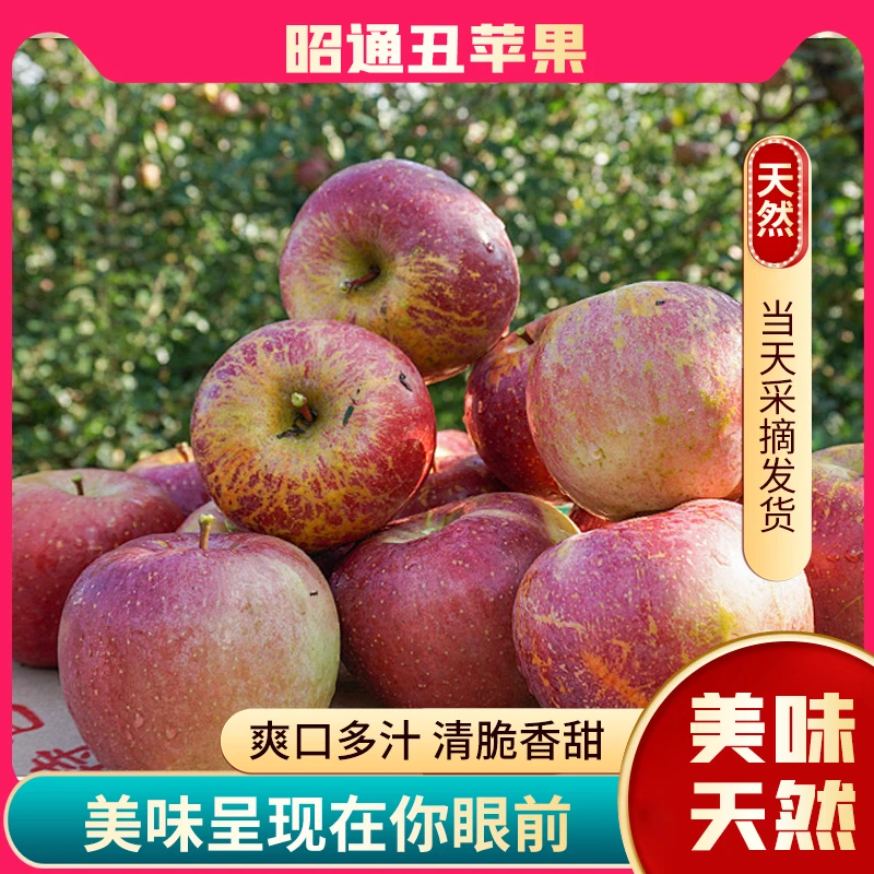 云南冰糖心昭通丑苹果当季新鲜水果正宗红富士脆甜孕妇整箱批发
