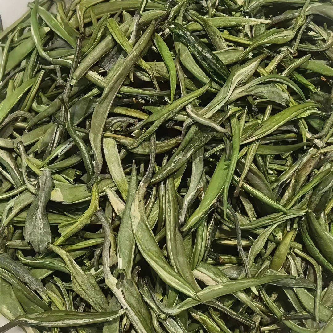 云南绿茶 2025年头春单芽青针绿茶 250克 500克罐装