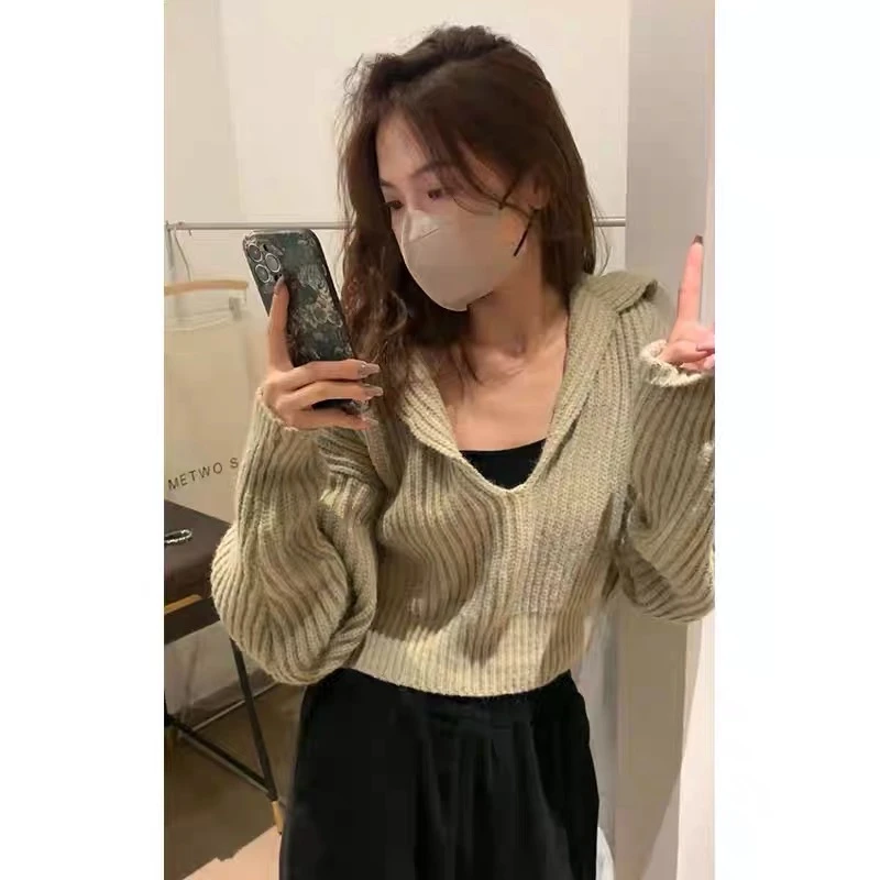 13953慵懒风宽松短款针织衫女秋季新款外穿设计感小众别致上衣