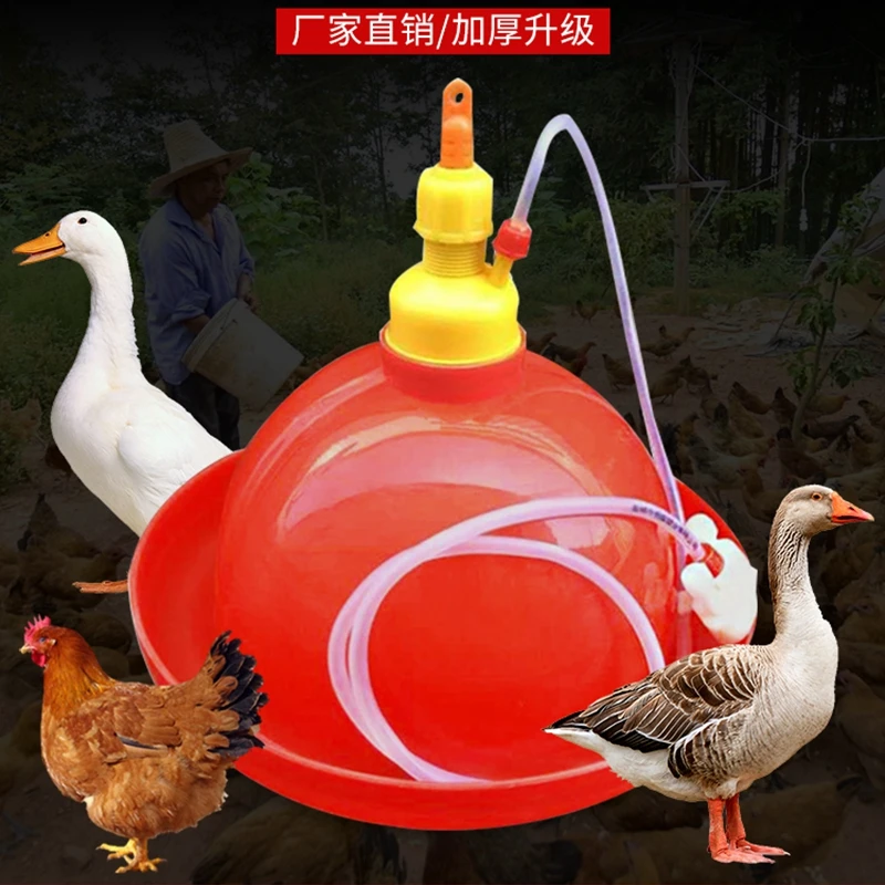 加厚普拉松养鸭鹅鸡用自动饮水器喂水器加水壶养鸡养殖设备鸡用品