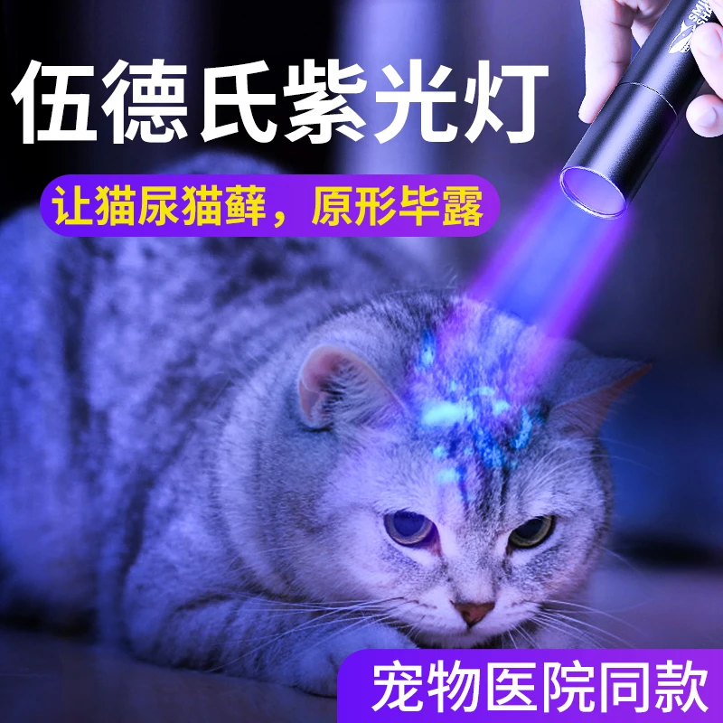 猫藓灯365nm紫光手电筒激光逗猫灯